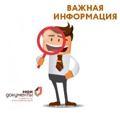 В центрах «Мои Документы» Ярославской области можно получить справку об отсутствии наказания за употребление наркотиков